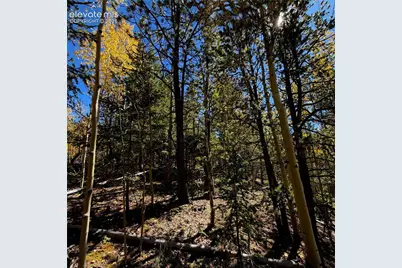 1341 Calcite Drive, Divide, CO 80814 - Photo 10