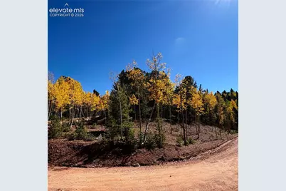 1341 Calcite Drive, Divide, CO 80814 - Photo 18