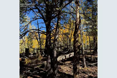 1341 Calcite Drive, Divide, CO 80814 - Photo 8