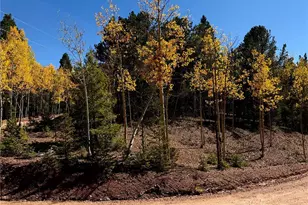 1341 Calcite Dr, Divide, CO 80814 - Photo 1