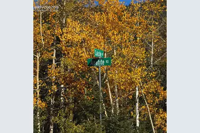 1341 Calcite Drive, Divide, CO 80814 - Photo 14