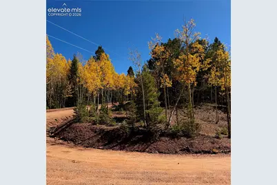 1341 Calcite Drive, Divide, CO 80814 - Photo 2