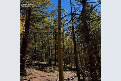 1341 Calcite Drive, Divide, CO 80814 - Photo 6