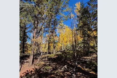 1341 Calcite Drive, Divide, CO 80814 - Photo 4