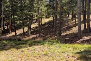 36 Summit Lake Dr, Divide, CO 80814 - Photo 28