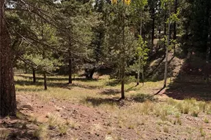 36 Summit Lake Dr, Divide, CO 80814 - Photo 34