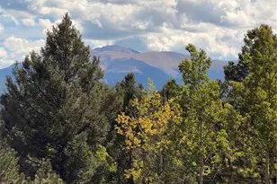 36 Summit Lake Dr, Divide, CO 80814 - Photo 32