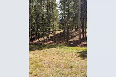 36 Summit Lake Drive, Divide, CO 80814 - Photo 26