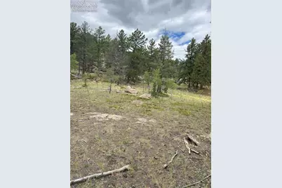155 County Road 403, Florissant, CO 80816 - Photo 2