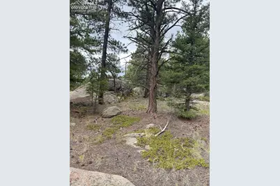 155 County Road 403, Florissant, CO 80816 - Photo 4