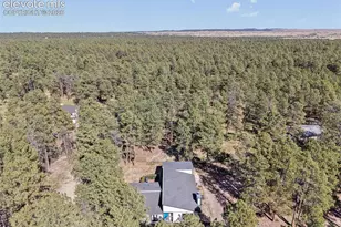 14015 Timber Grove Ln, Elbert, CO 80106 - Photo 48