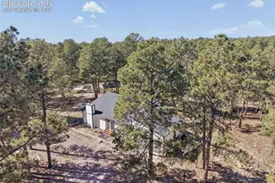 14015 Timber Grove Ln, Elbert, CO 80106 - Photo 46