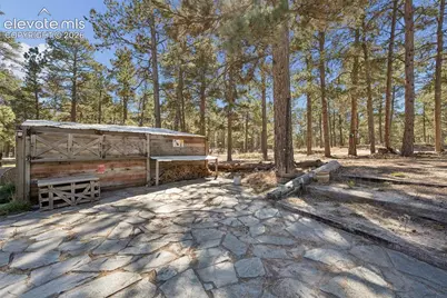 14015 Timber Grove Lane, Elbert, CO 80106 - Photo 38