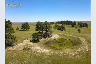 17265 Warriors Path Drive, Peyton, CO 80831 - Photo 6
