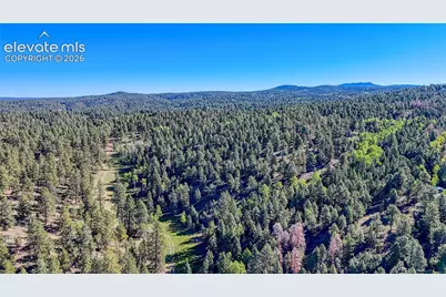 776 Spring Valley Lane, Florissant, CO 80816 - Photo 26