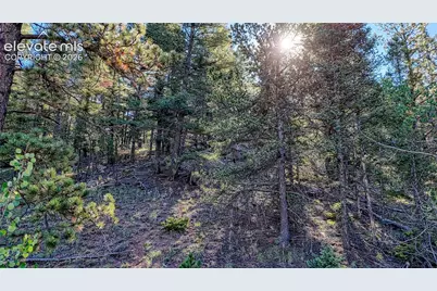 776 Spring Valley Lane, Florissant, CO 80816 - Photo 16