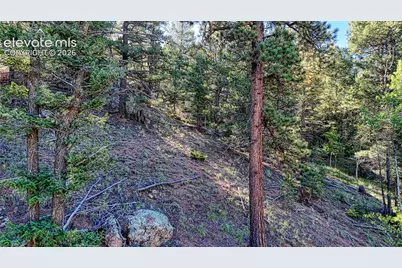 776 Spring Valley Lane, Florissant, CO 80816 - Photo 12
