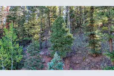 776 Spring Valley Lane, Florissant, CO 80816 - Photo 14