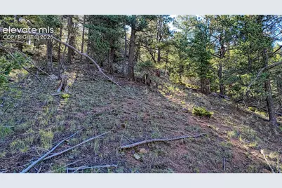 776 Spring Valley Lane, Florissant, CO 80816 - Photo 18