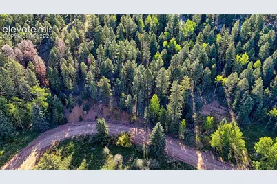 776 Spring Valley Lane, Florissant, CO 80816 - Photo 4