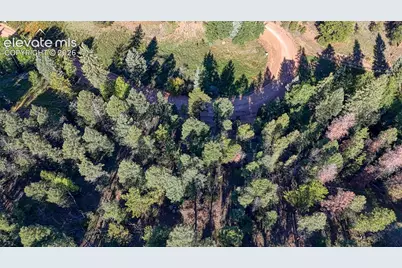 776 Spring Valley Lane, Florissant, CO 80816 - Photo 8
