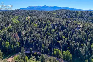 776 Spring Valley Ln, Florissant, CO 80816 - Photo 1