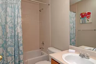 4806 Rusty Nail Point, Colorado Springs, CO 80916 - Photo 14