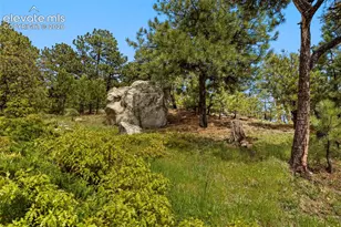 525 Silhouette Way, Monument, CO 80132 - Photo 44