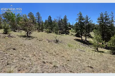 1366 N Mountain Estates Road, Florissant, CO 80816 - Photo 4