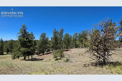 1366 N Mountain Estates Road, Florissant, CO 80816 - Photo 10