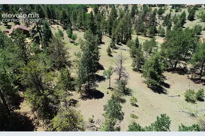 1366 N Mountain Estates Road, Florissant, CO 80816 - Photo 8