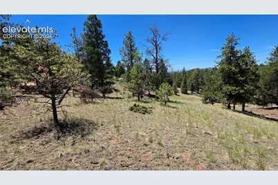 1366 N Mountain Estates Road, Florissant, CO 80816 - Photo 12