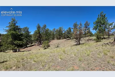 1366 N Mountain Estates Road, Florissant, CO 80816 - Photo 16