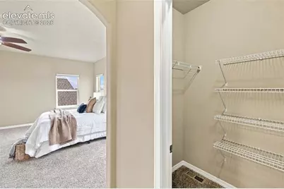 5954 Finglas Drive, Colorado Springs, CO 80923 - Photo 28