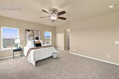 5954 Finglas Drive, Colorado Springs, CO 80923 - Photo 24