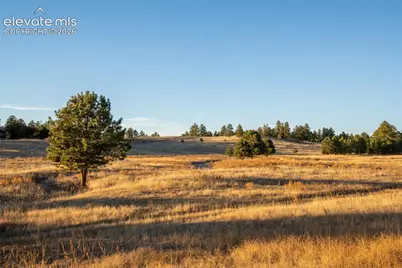 Woodhaven Ridge Road, Parker, CO 80134 - Photo 6