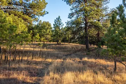Woodhaven Ridge Road, Parker, CO 80134 - Photo 4