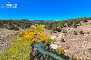 39858 Hwy 24, Lake George, CO 80827 - Photo 34