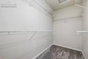 972 Burning Bush Point, Monument, CO 80132 - Photo 22