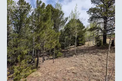905 May Queen Drive, Cripple Creek, CO 80813 - Photo 14