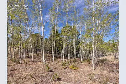 905 May Queen Drive, Cripple Creek, CO 80813 - Photo 10