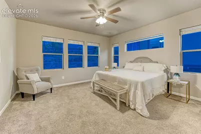 16338 Corkbark Terrace, Monument, CO 80132 - Photo 6