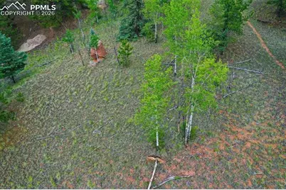 525 Spring Valley Lane, Florissant, CO 80816 - Photo 8