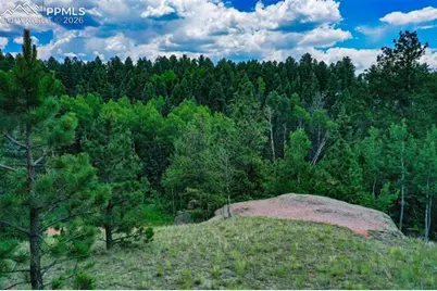 525 Spring Valley Lane, Florissant, CO 80816 - Photo 4