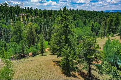 525 Spring Valley Lane, Florissant, CO 80816 - Photo 6