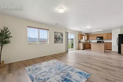 11675 Black Maple Lane, Colorado Springs, CO 80921 - Photo 4
