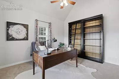 20305 True Vista Circle, Monument, CO 80132 - Photo 8