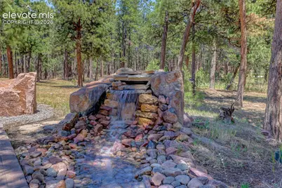 19404 Hilltop Pines Path, Monument, CO 80132 - Photo 16