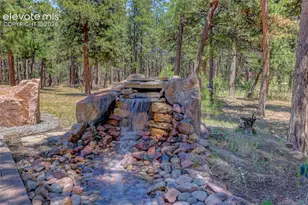 19404 Hilltop Pines Path, Monument, CO 80132 - Photo 16