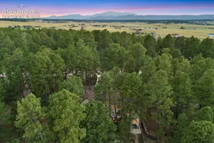 19825 Soaring Wing Dr, Colorado Springs, CO 80908 - Photo 46